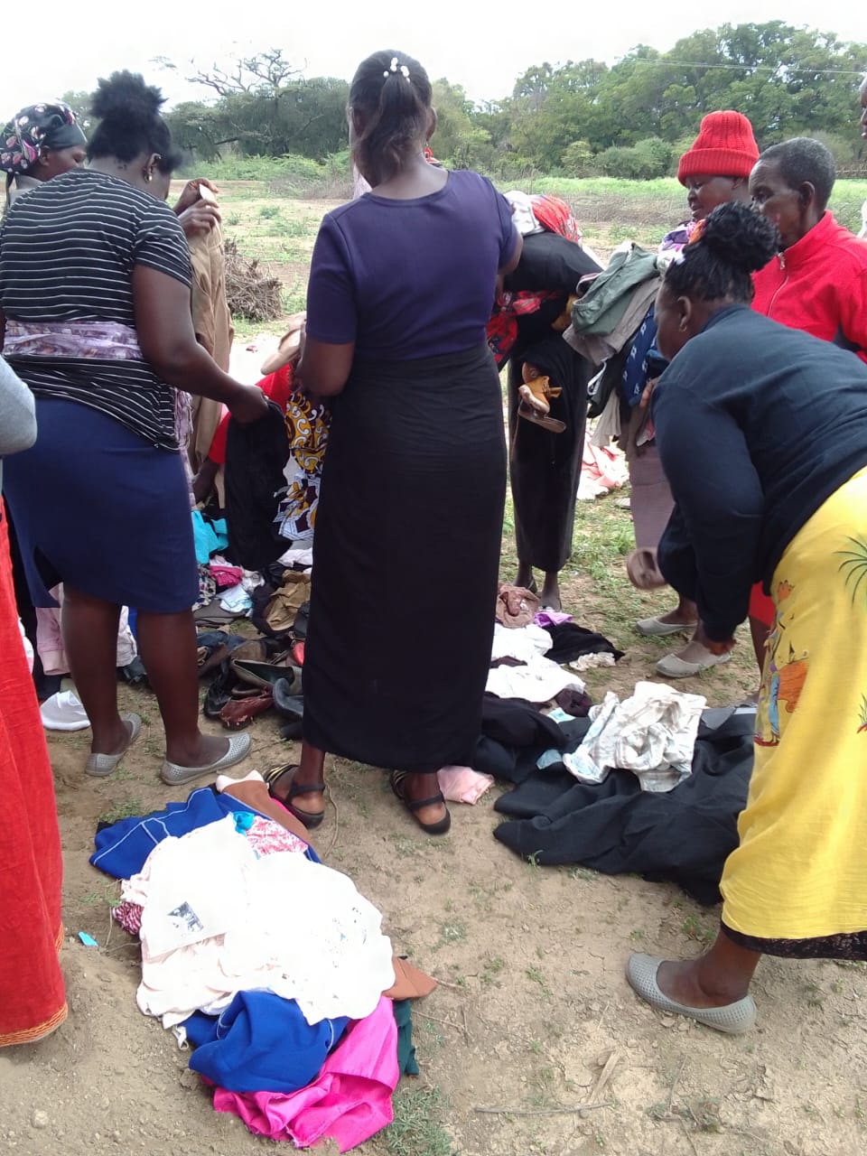 Education program image 6