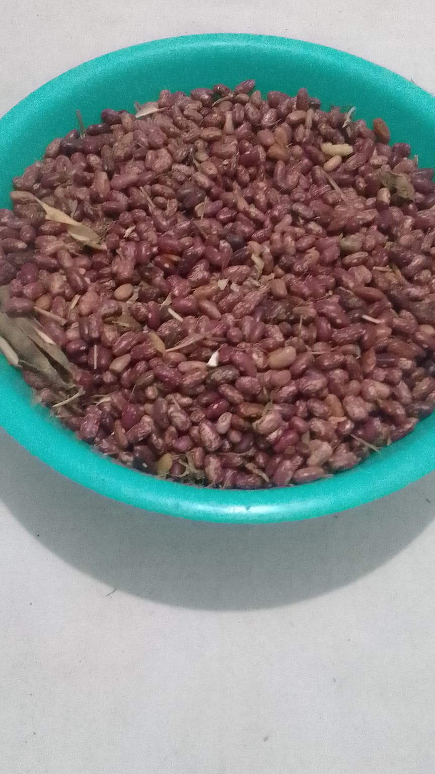 Beans Donation for Orphaned Children