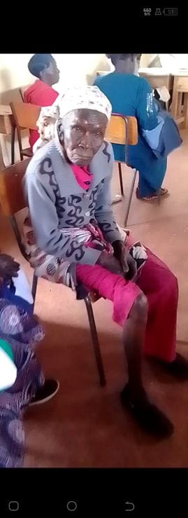 Healthcare Supporter in Action